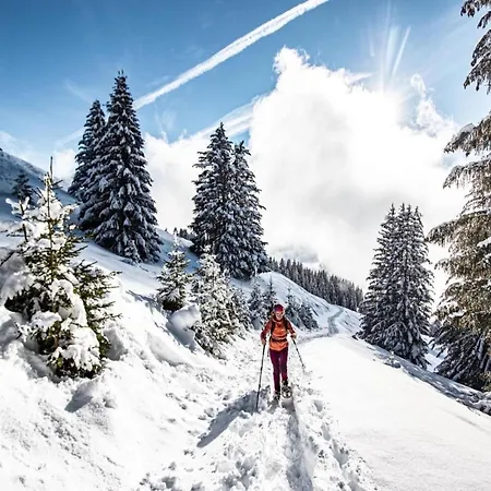 Duplex In Near Portes Du Soleil Gondola Apartment Châtel