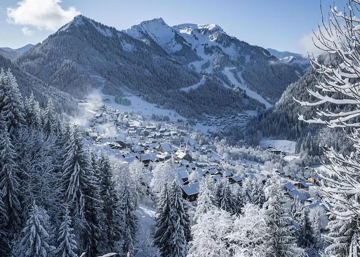 Apartment Duplex In Near Portes Du Soleil Gondola Châtel