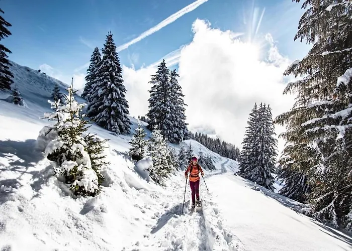 Duplex In Near Portes Du Soleil Gondola Apartment Châtel